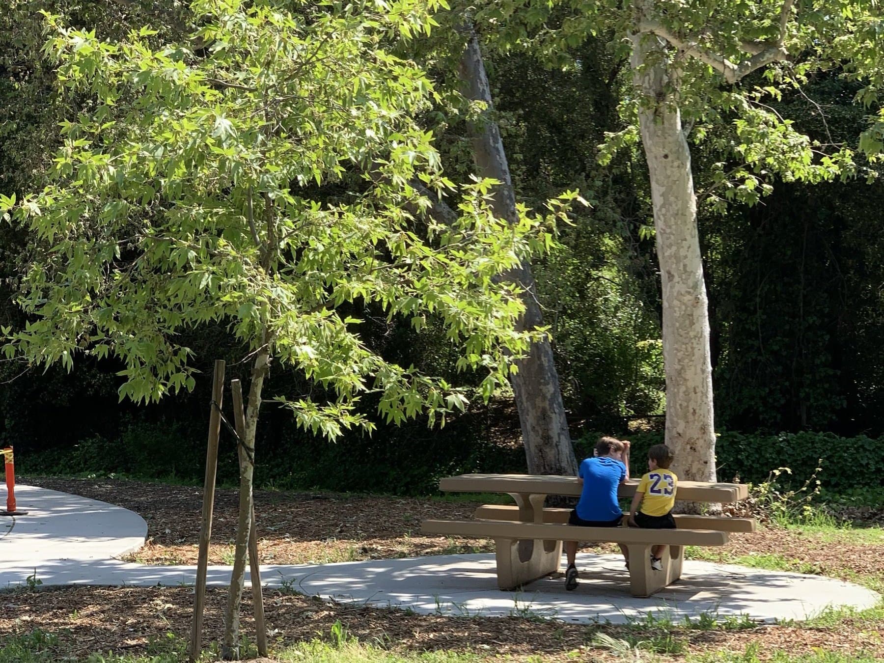 Two kids at a picnic table beneath the sycamores in Linda Vista Park.