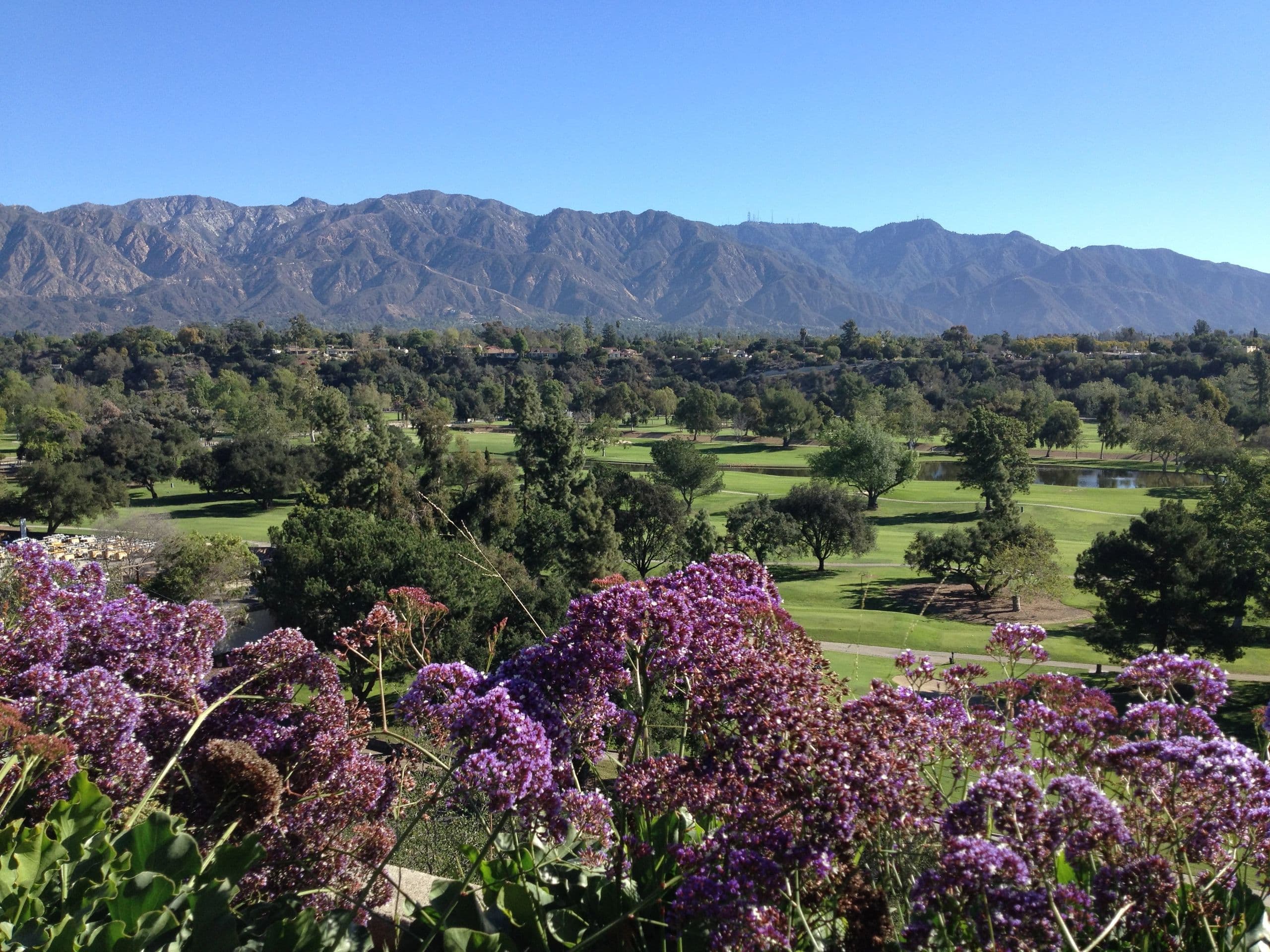 Scenic view of a golf course with purple flowers and mountains in the background.